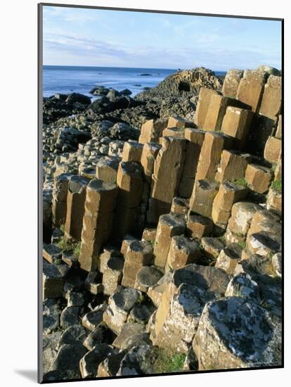 The Giant's Causeway, Unesco World Heritage Site, County Antrim, Northern Ireland-Bruno Barbier-Mounted Photographic Print