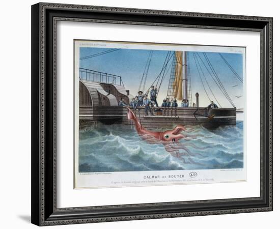 The Giant Squid Caught by the Alecton off the Coast of Tenerife, 30th November 1861-E. Rodolphe-Framed Giclee Print