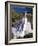 The Giant Statue Representing Mandarom Sect Founder Gilbert Bourdin-Str, Pool-Framed Photographic Print