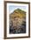 The Giants Causeway, County Antrim, Ulster, Northern Ireland, United Kingdom-Michael Runkel-Framed Photographic Print