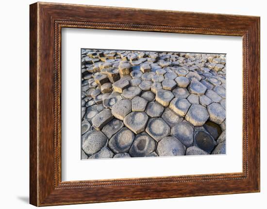 The Giants Causeway, County Antrim, Ulster, Northern Ireland, United Kingdom-Michael Runkel-Framed Photographic Print