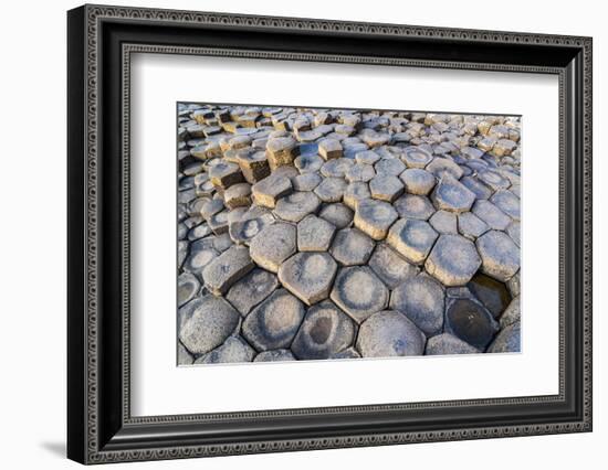 The Giants Causeway, County Antrim, Ulster, Northern Ireland, United Kingdom-Michael Runkel-Framed Photographic Print