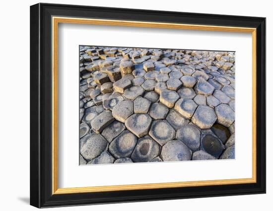 The Giants Causeway, County Antrim, Ulster, Northern Ireland, United Kingdom-Michael Runkel-Framed Photographic Print