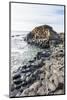 The Giants Causeway, County Antrim, Ulster, Northern Ireland, United Kingdom-Michael Runkel-Mounted Photographic Print