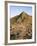 The Giants Causeway, Unesco World Heritage Site, Co. Antrim, Ulster, Northern Ireland-Roy Rainford-Framed Photographic Print