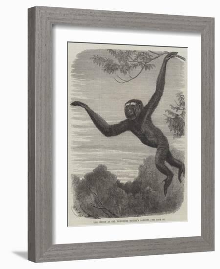 The Gibbon at the Zoological Society's Gardens-Friedrich Wilhelm Keyl-Framed Giclee Print