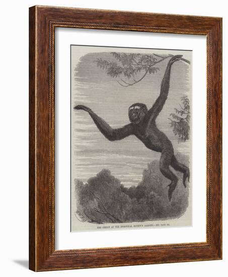 The Gibbon at the Zoological Society's Gardens-Friedrich Wilhelm Keyl-Framed Giclee Print