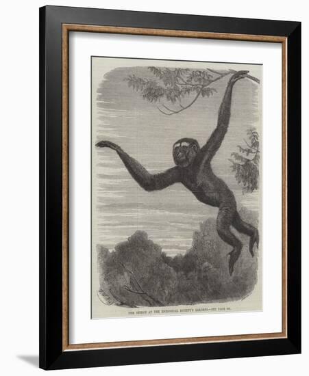 The Gibbon at the Zoological Society's Gardens-Friedrich Wilhelm Keyl-Framed Giclee Print