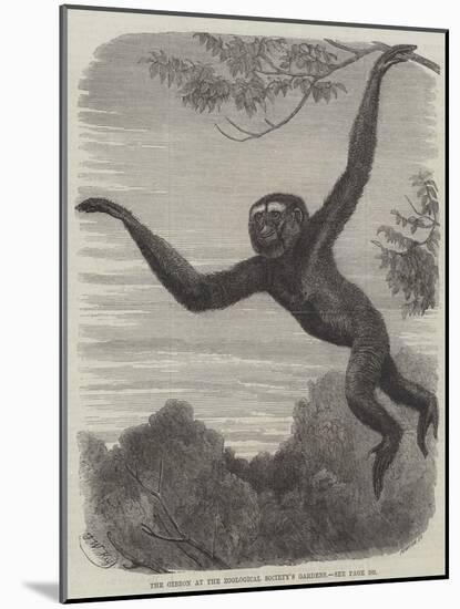 The Gibbon at the Zoological Society's Gardens-Friedrich Wilhelm Keyl-Mounted Giclee Print