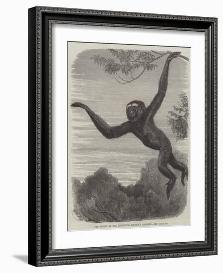 The Gibbon at the Zoological Society's Gardens-Friedrich Wilhelm Keyl-Framed Giclee Print