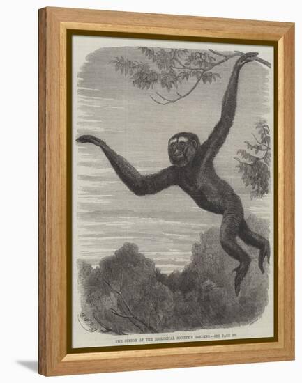 The Gibbon at the Zoological Society's Gardens-Friedrich Wilhelm Keyl-Framed Premier Image Canvas