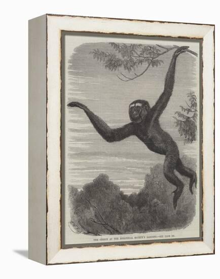 The Gibbon at the Zoological Society's Gardens-Friedrich Wilhelm Keyl-Framed Premier Image Canvas