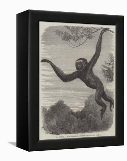 The Gibbon at the Zoological Society's Gardens-Friedrich Wilhelm Keyl-Framed Premier Image Canvas