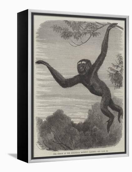 The Gibbon at the Zoological Society's Gardens-Friedrich Wilhelm Keyl-Framed Premier Image Canvas