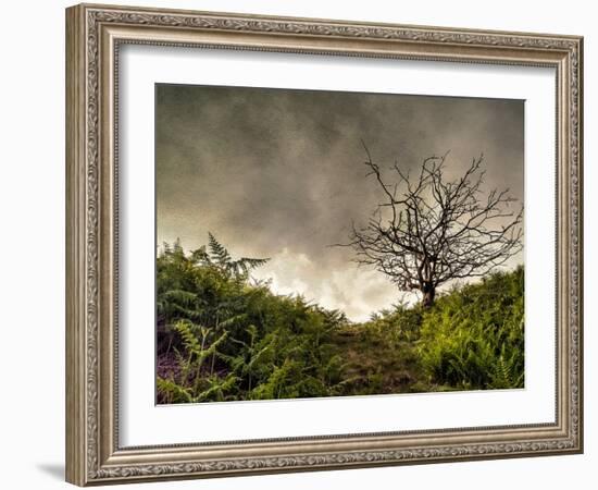 The Gift-Mark Gemmell-Framed Photographic Print