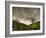 The Gift-Mark Gemmell-Framed Photographic Print