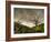 The Gift-Mark Gemmell-Framed Photographic Print