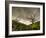 The Gift-Mark Gemmell-Framed Photographic Print