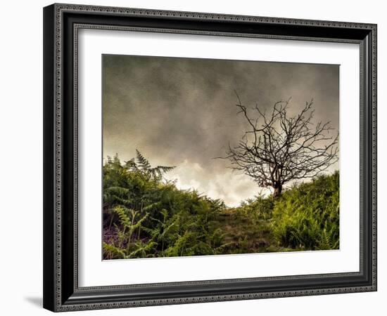 The Gift-Mark Gemmell-Framed Photographic Print