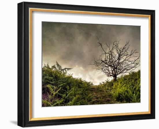 The Gift-Mark Gemmell-Framed Photographic Print