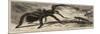 The Gigantic Mouse-Eating Spider at the Zoological Gardens-null-Mounted Giclee Print