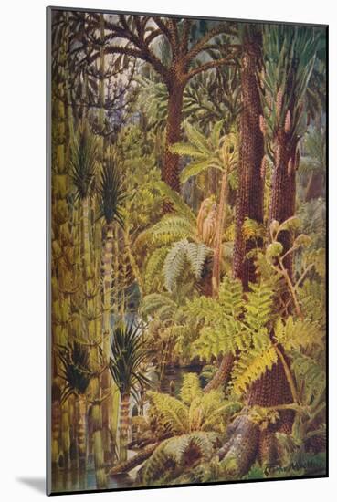 The gigantic vegetation of the Carboniferous Age, 1907-Unknown-Mounted Giclee Print