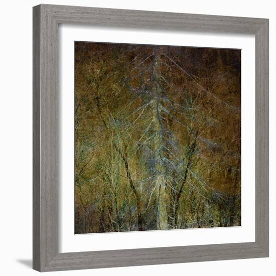 The Gilded Larch-Doug Chinnery-Framed Giclee Print