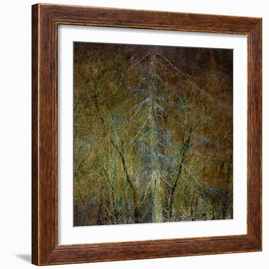 The Gilded Larch-Doug Chinnery-Framed Giclee Print