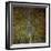 The Gilded Larch-Doug Chinnery-Framed Giclee Print