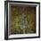 The Gilded Larch-Doug Chinnery-Framed Giclee Print