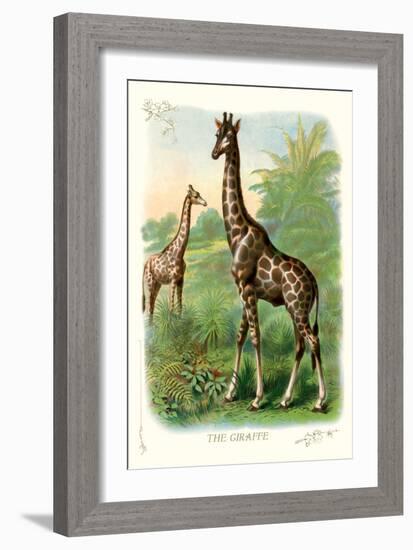 The Giraffe-null-Framed Art Print