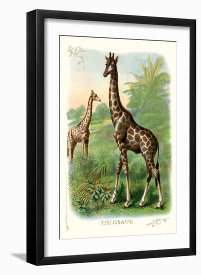 The Giraffe-null-Framed Art Print