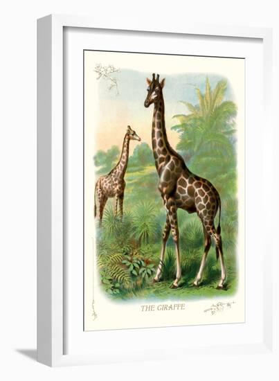 The Giraffe-null-Framed Art Print