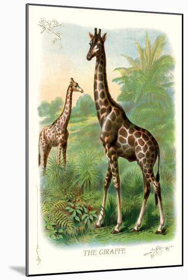 The Giraffe-null-Mounted Art Print