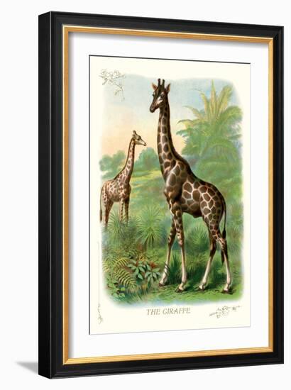 The Giraffe-null-Framed Art Print