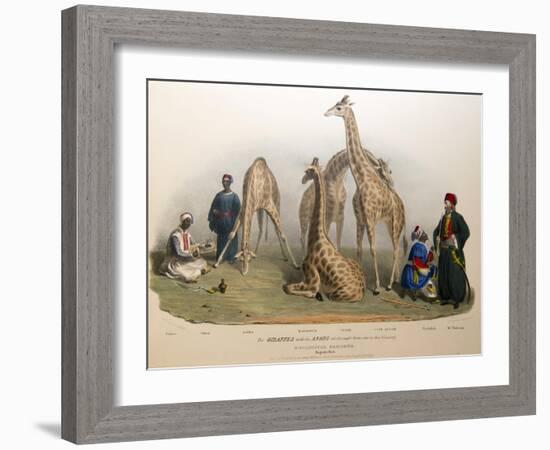 The Giraffes with the Arabs, 1836-George The Elder Scharf-Framed Giclee Print