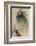 The Girl the Tree and the Bird of Paradise-Warwick Goble-Framed Photographic Print