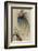 The Girl the Tree and the Bird of Paradise-Warwick Goble-Framed Photographic Print