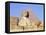 The Giza Sphinx with the pyramid of Khephren in the background-Werner Forman-Framed Premier Image Canvas