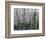 The Glade-Robert Moore-Framed Art Print