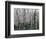 The Glade-Robert Moore-Framed Art Print