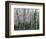 The Glade-Robert Moore-Framed Art Print