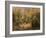 The Glade-Pierre-Auguste Renoir-Framed Giclee Print