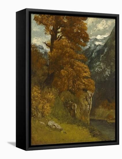 The Glen at Ornans, 1866-Gustave Courbet-Framed Premier Image Canvas