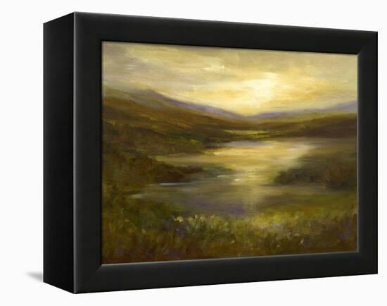 The Glimmer-Sheila Finch-Framed Stretched Canvas