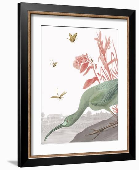 The Glossy Ibis - Tropical-Eccentric Accents-Framed Giclee Print