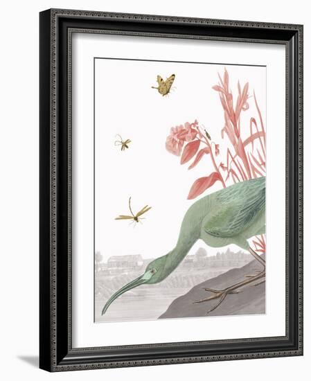 The Glossy Ibis - Tropical-Eccentric Accents-Framed Giclee Print