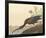 The Glossy Ibis-John James Audubon-Framed Premium Giclee Print