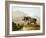 The Gnoo, 1804-Samuel Daniell-Framed Giclee Print