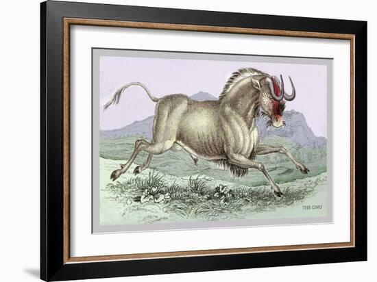 The Gnu-John Stewart-Framed Art Print